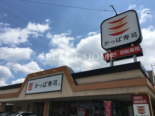 飲食店　かっぱ寿司 岡崎大樹寺店（飲食店）まで555m