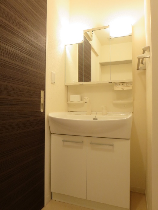 洗面設備　朝便利なシャワードレッサ