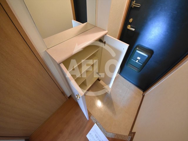 収納　プレサンス内本町　シューズボックス