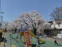公園　玉川上水緑道（公園）まで585m