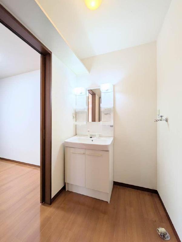 洗面設備　シャワー付き洗面台・洗濯機置場