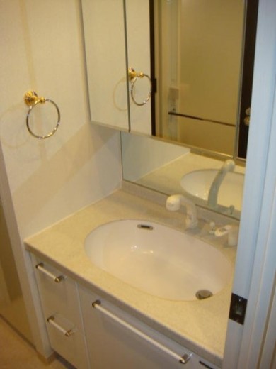 洗面設備　＊別部屋参考写真