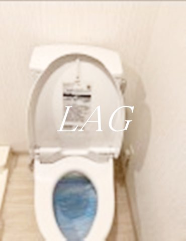 トイレ　トイレです。