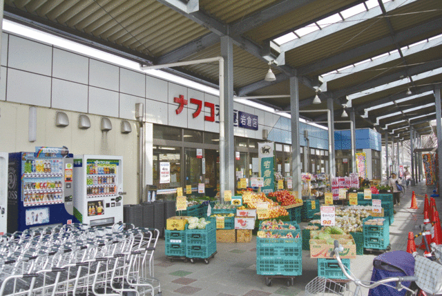 スーパー　ナフコ不二屋岩倉店（スーパー）まで542m