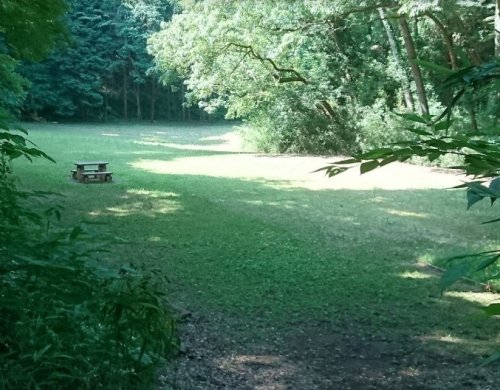 公園　都立滝山自然公園（公園）まで3969m