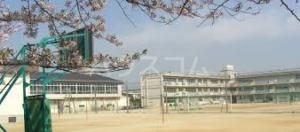 中学校　柏市立松葉中学校（中学校）まで1637m