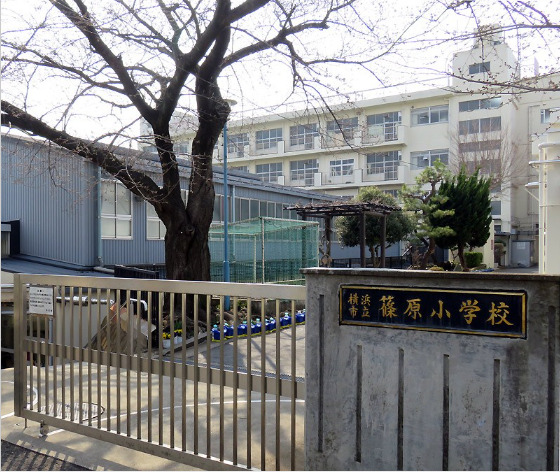 小学校　横浜市立篠原小学校（小学校）まで1078m