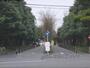大学・短大　京都大学農学部（大学・短大）まで850m