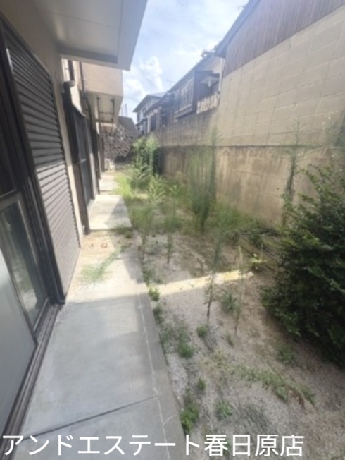 庭