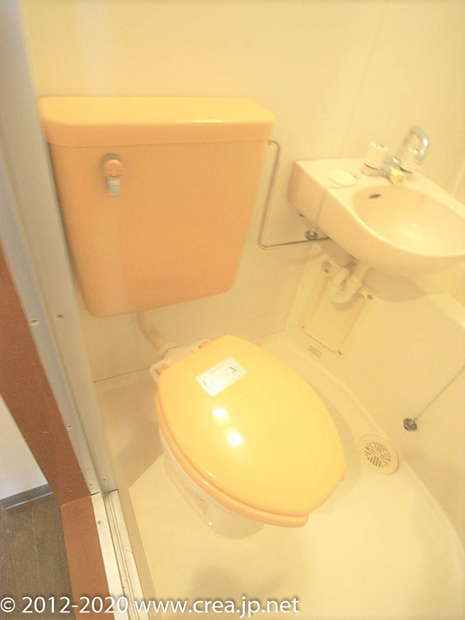 パレスYのトイレ写真