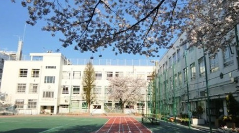 小学校　新宿区立江戸川小学校（小学校）まで423m