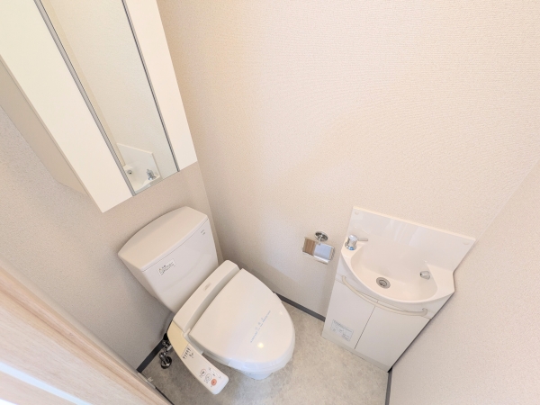 ＪＲ常磐線 水戸駅 徒歩11分 10階建 築20年のトイレ写真