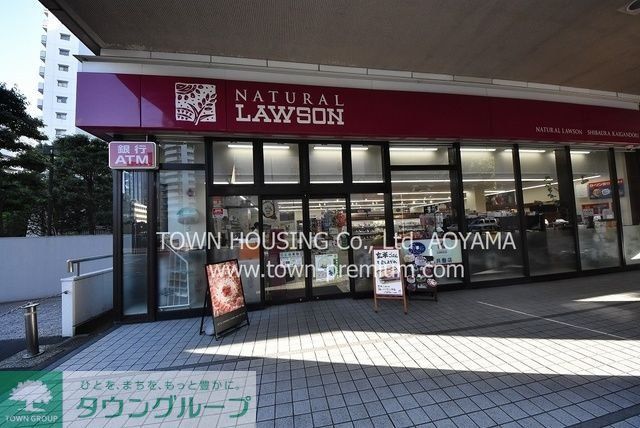 コンビニ　ナチュラルローソン 芝浦海岸通店（コンビニ）まで541m