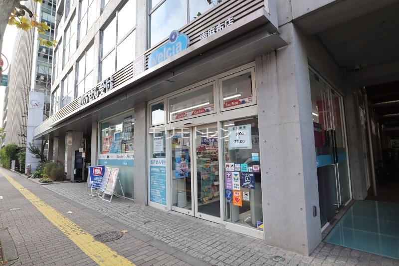 ドラックストア　ウエルシア南麻布店（ドラッグストア）まで427m