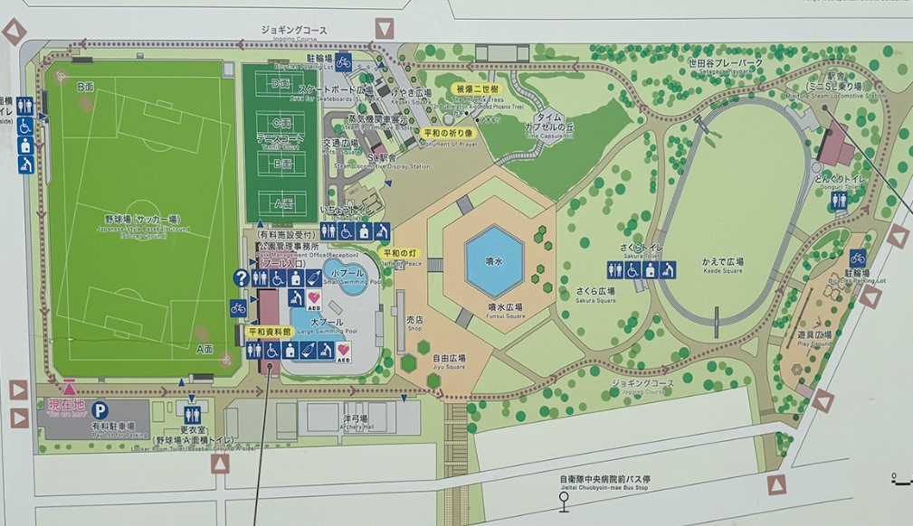 公園　世田谷公園（公園）まで871m