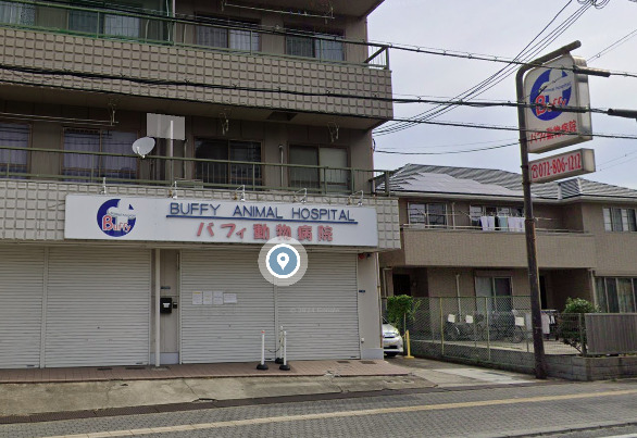 病院　バフィ動物病院（病院）まで519m