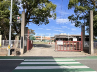 小学校　八代市立鏡小学校（小学校）まで218m