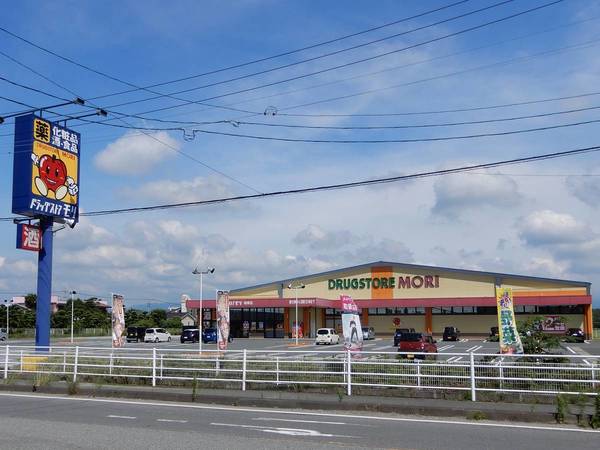 ドラックストア　ドラックストアモリ城南店（ドラッグストア）まで1789m