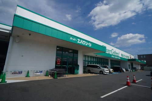 ドラックストア　スーパーエバグリーン田原本店（ドラッグストア）まで363m