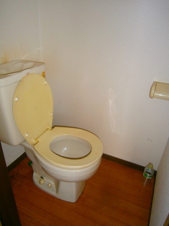 シャルムカミスA・B・Cのトイレ写真