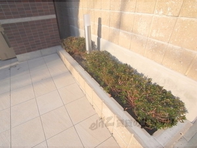 その他共有部分　植栽