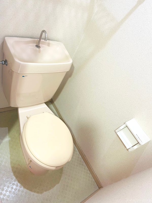 ビッグバーンズマンションシーサイドのトイレ写真