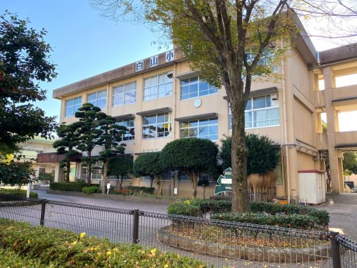 小学校　白山小学校（小学校）まで176m