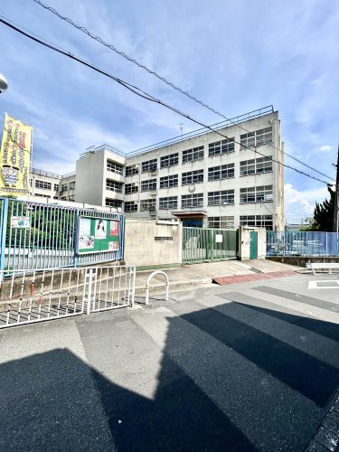 小学校　東大阪市立縄手東小学校（小学校）まで743m