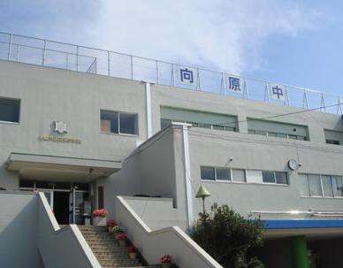 中学校　向原中学校（中学校）まで595m