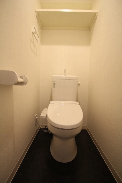 トイレ　同物件、別号室のものです。