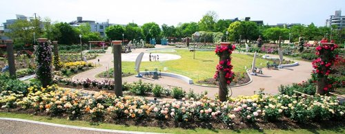 公園　若園公園（公園）まで439m