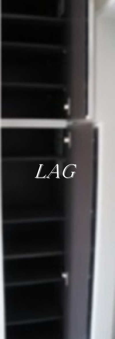 収納　シューズボックスです。