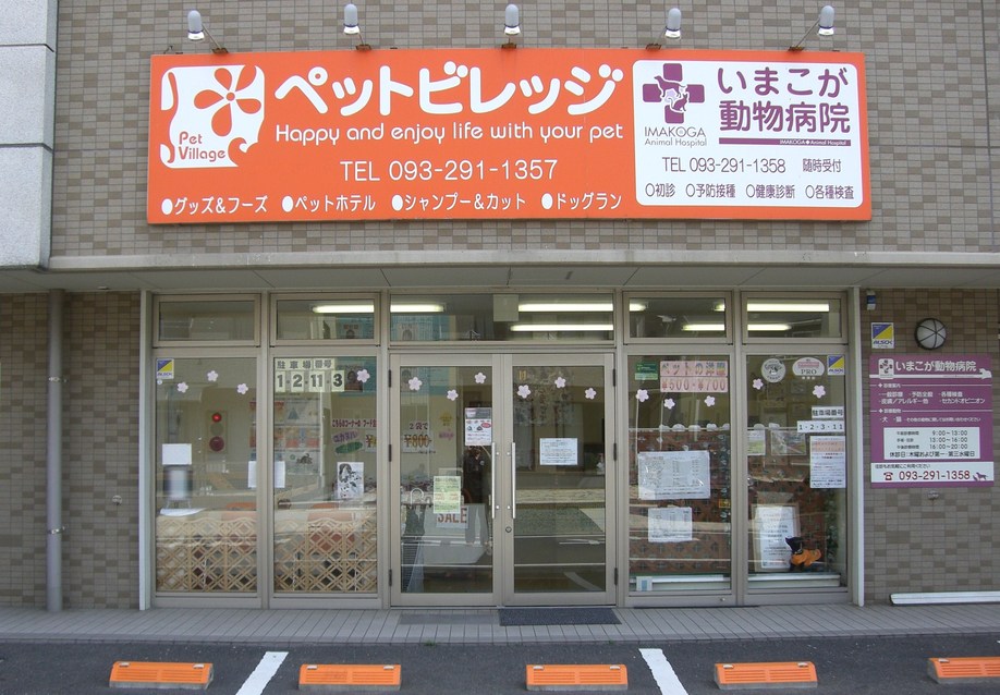 病院　いまこが動物病院（病院）まで650m