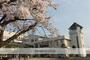 小学校　十神小学校（小学校）まで550m