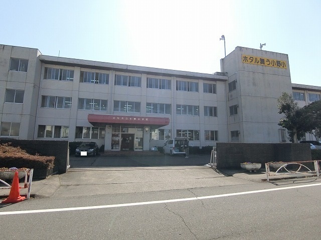 小学校　小野小学校（小学校）まで800m