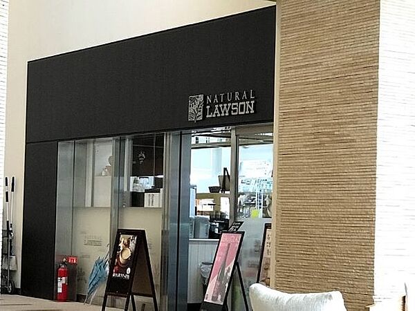 コンビニ　ナチュラルローソン芝浦アイランドケープ店（コンビニ）まで488m