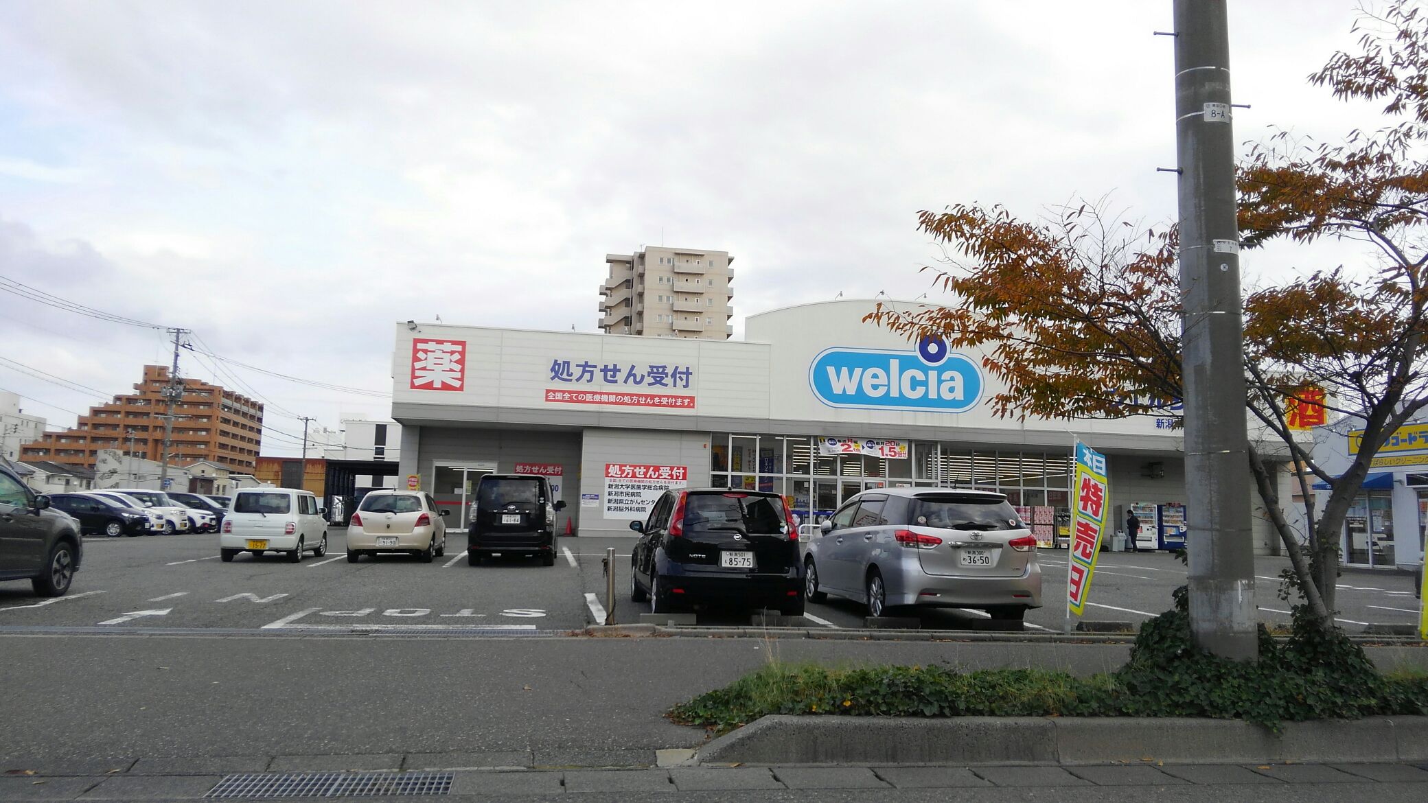ドラックストア　ウエルシア薬局南笹口店（ドラッグストア）まで242m