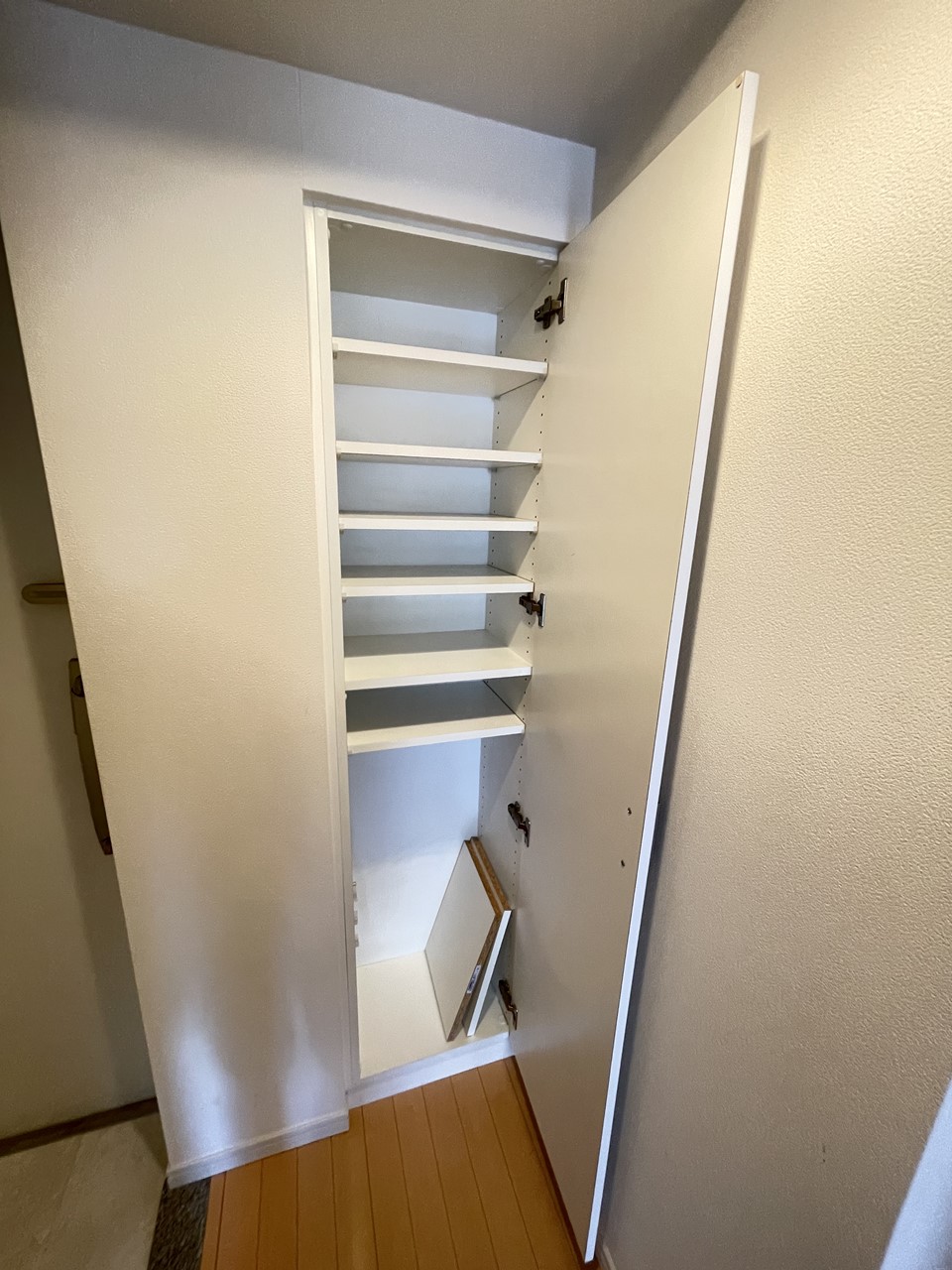 玄関　※同物件、別部屋の写真です。