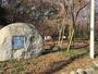 公園　小宮公園（公園）まで700m
