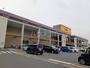 その他　ドンキホーテ泉店（その他）まで231m