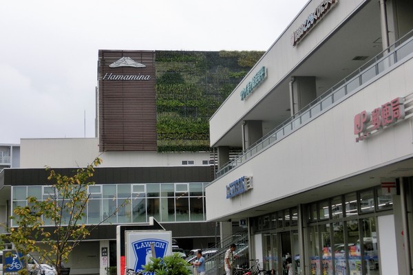 コンビニ　ローソン茅ヶ崎浜見平店（コンビニ）まで815m