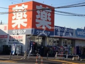 ドラックストア　ウエルシア薬局足立加賀店（ドラッグストア）まで725m