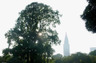 公園　新宿御苑（公園）まで428m