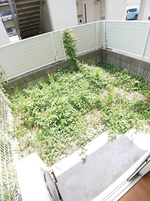 庭