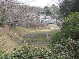 公園　駒場野公園（公園）まで1229m