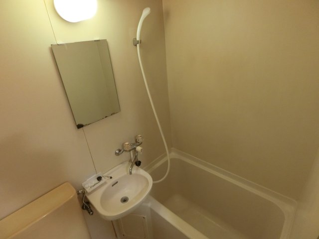 バス・シャワールーム　他のお部屋の参考写真となります。