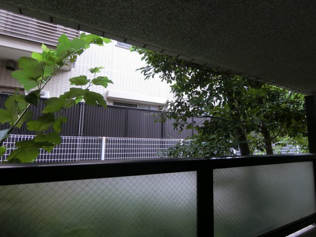 眺望　他のお部屋の参考写真となります。