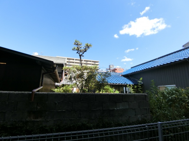 眺望　1F眺望