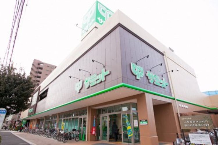 スーパー　サミットストア野沢龍雲寺店（スーパー）まで228m