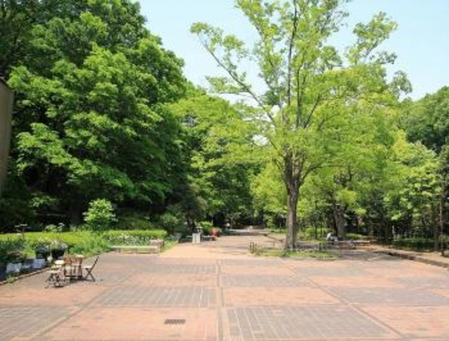 その他　芹ケ谷公園（その他）まで181m